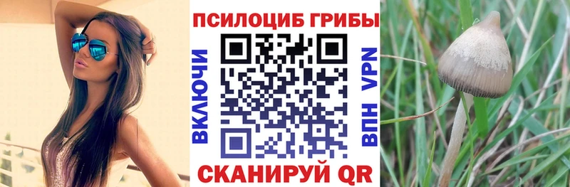 Галлюциногенные грибы мухоморы  Фатеж 